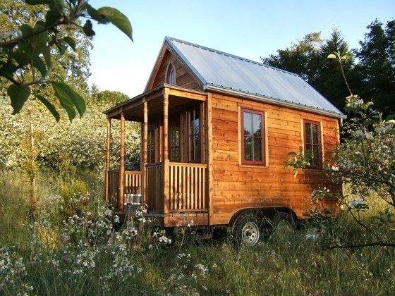 Cedar tiny house on wheels, golden hour orchard