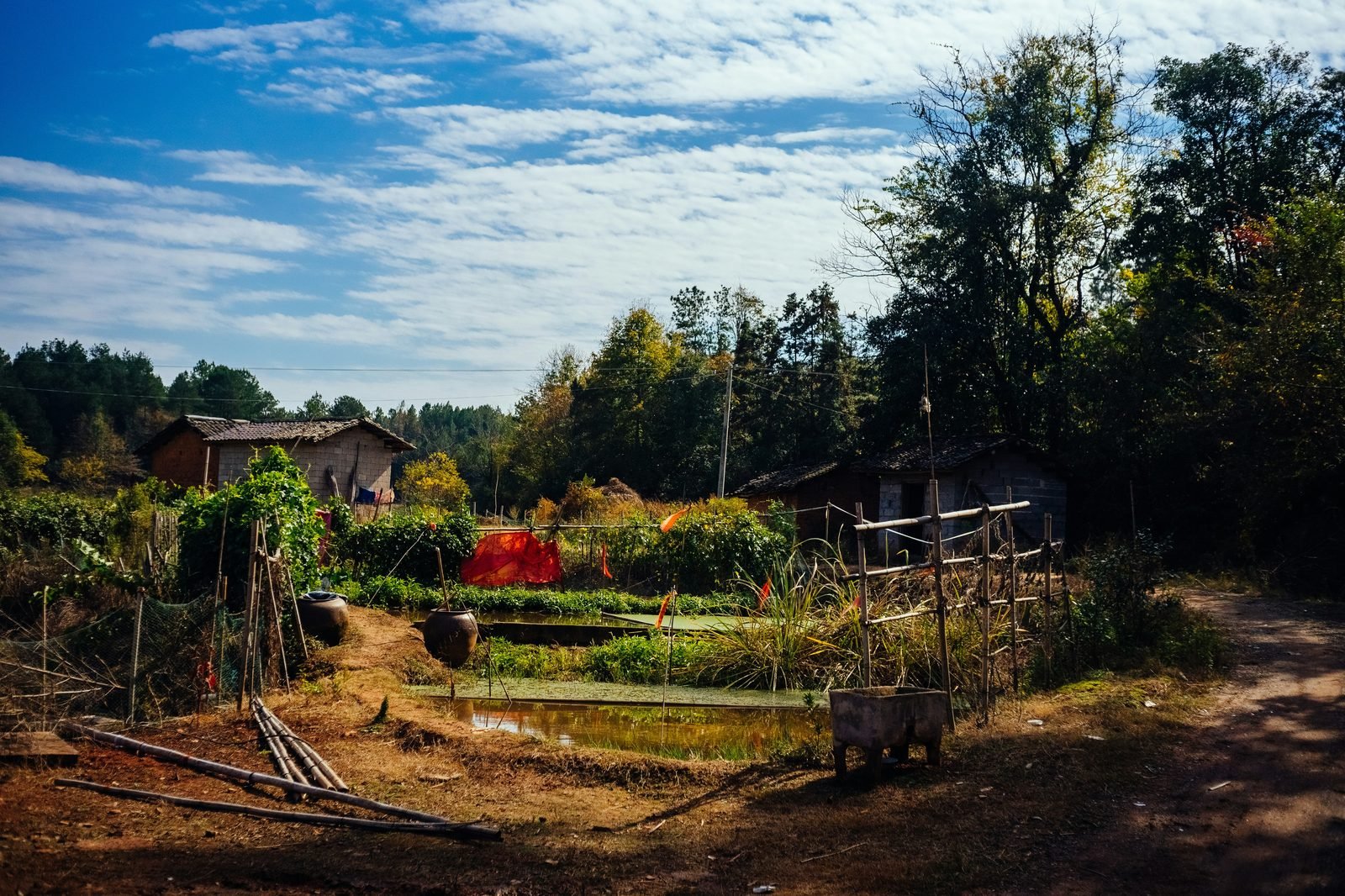 Small homestead with productive garden and pond