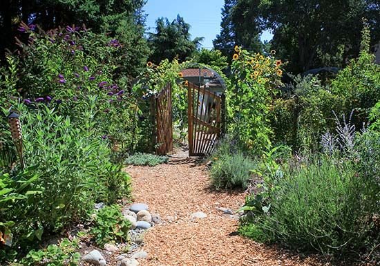 Permaculture garden gateway with herbs and flowers
