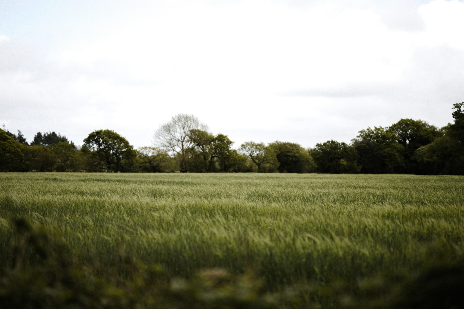Open fields and farmland — the landscape HOME seeks