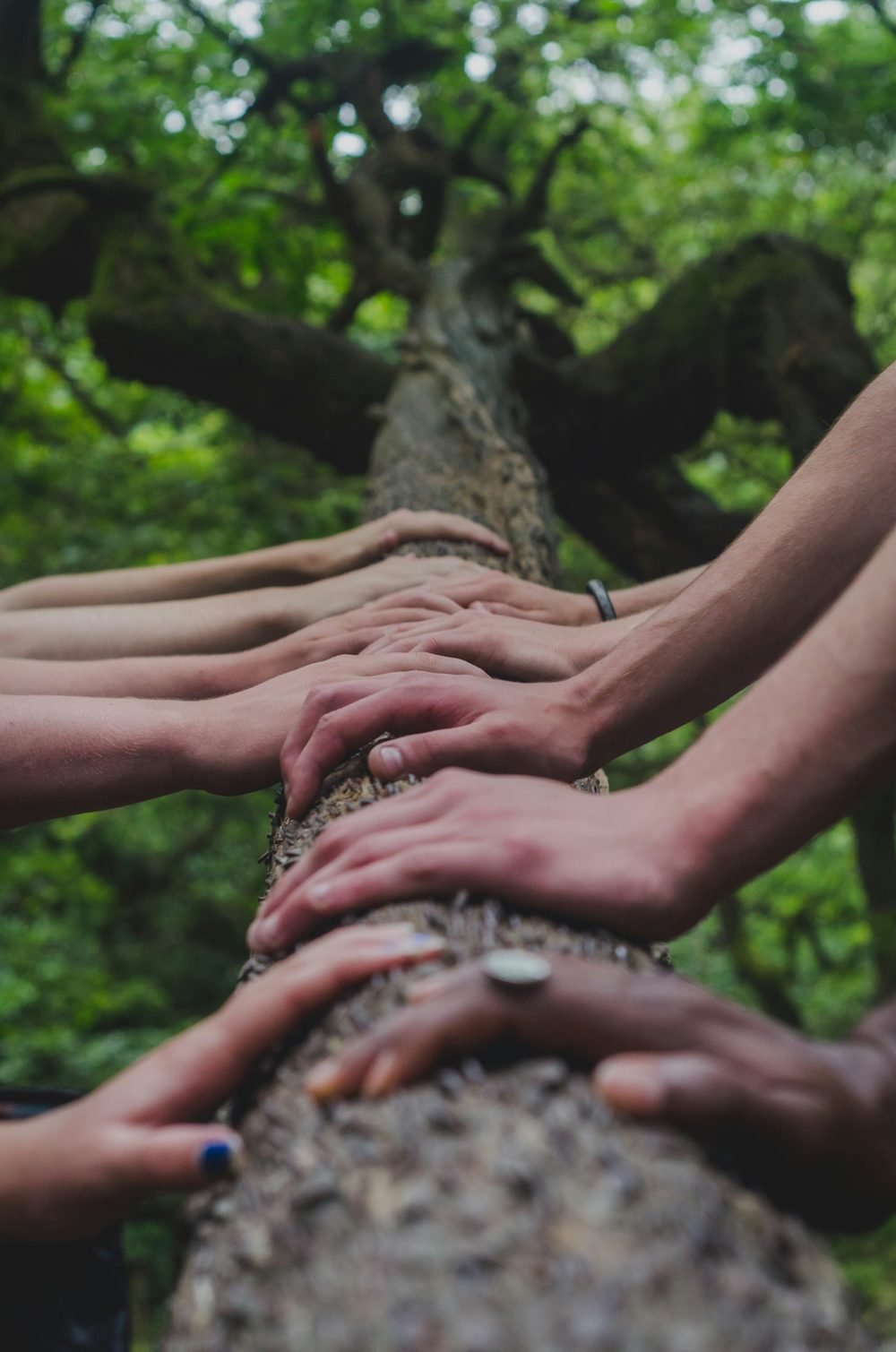Bare feet in a circle on the earth — community and grounding