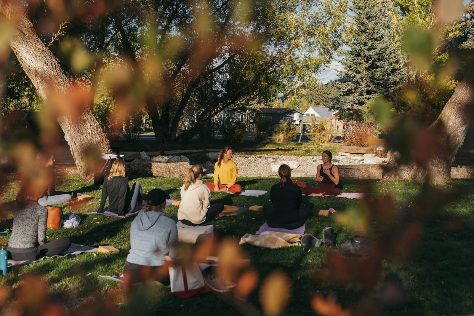 Group yoga practice outdoors in golden light